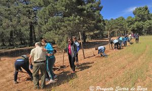 Foto de El grupo participante en esta Primera Jornada de Recuperación de Setos y lindes arbóreas y arbustivas en los antiguos campos de cultivo entregados a su objetivo. 