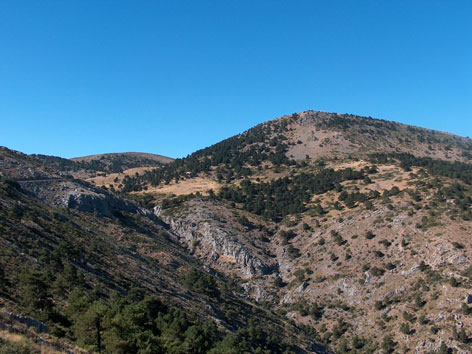 foto del Barranco de Las Riscas, Prados del Rey y La Boleta (al fondo) desde el Collado de El Toro.