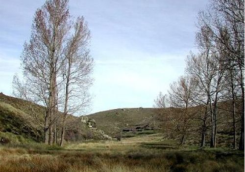 foto de la sierra de baza con choperas