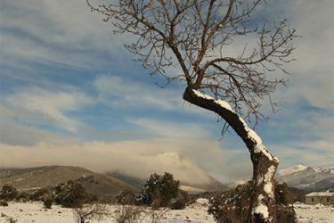 Foto del altiplano granadino.