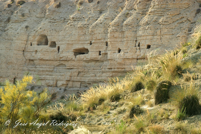 foto de las Cuevas de las Ventanas en el Barranco del Espartal.
