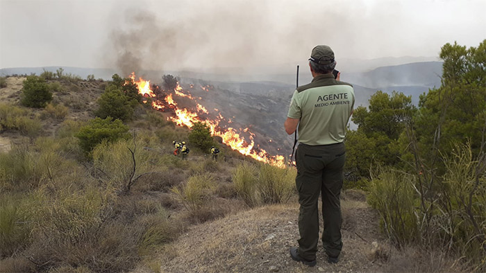 foto de un incendio forestal en las proximidades de Rejano