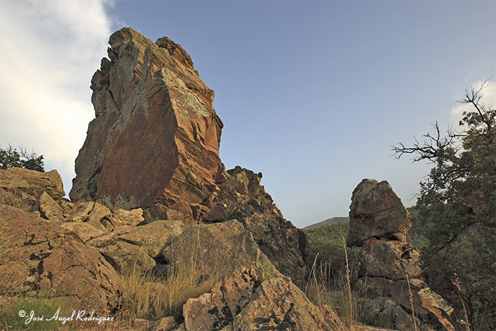 Foto de Afloramiento de rocas silíceas colonizado por la vegetación rupícola conocidos como los “Peñones Robaos”, en las proximidades de la pista forestal de El Moro. 