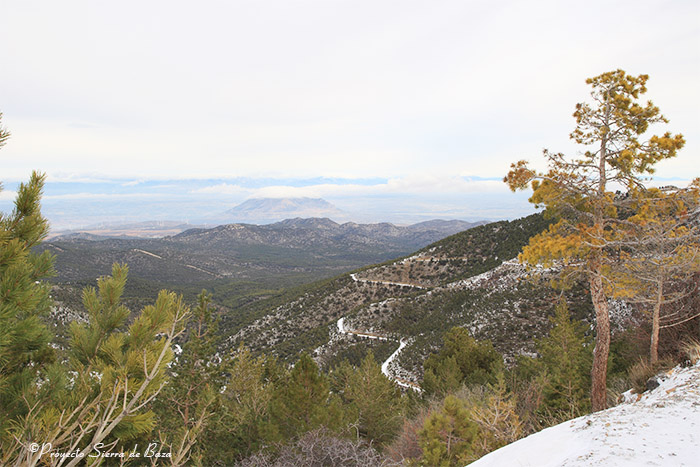 Foto de la pista forestal que subiendo de la zona de la Canaleja Alta lleva hasta los Prados del Rey (2000 m.)