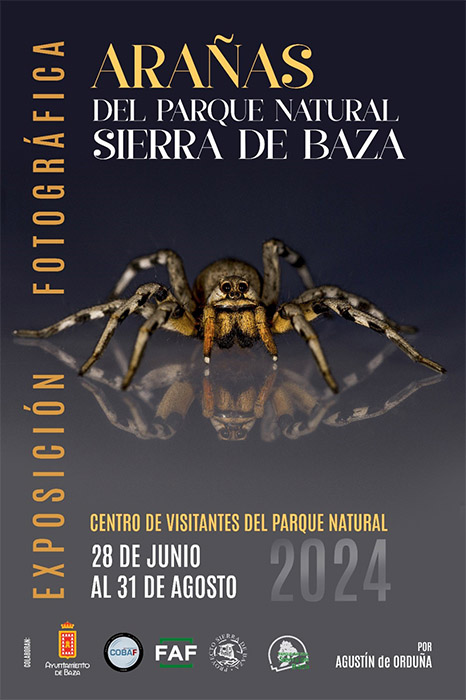Exposición fotográfica de arañas del Parque Natural Sierra de Baza en el Centro de Visitantes de Narváez por Agustín Orduña