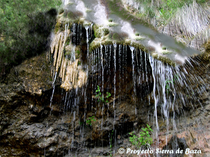 Las precipitaciones del otoño salvan a un año que venía siendo muy seco