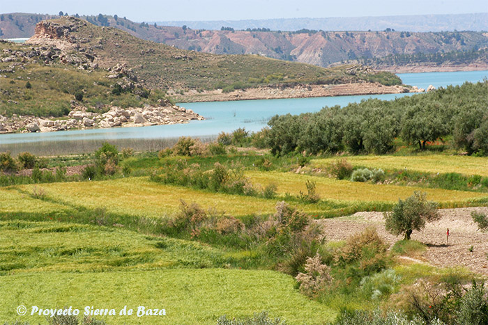 Carta del Paisaje del Geoparque de Granada