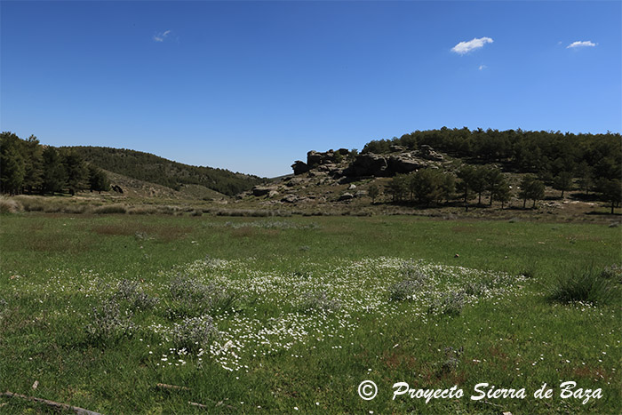 El Pleno de la Junta Rectora del Parque Natural Sierra de Baza acordaba instar a la consejería para que no se demore más la aprobación del PORN y PRUG