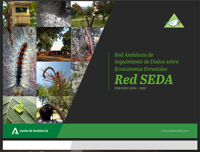 El equipo de sanidad forestal de AMAYA elaborará informes periódicos sobre el seguimiento de daños de los ecosistemas forestales de Andalucía basados en la Red SEDA