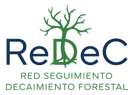 Web del Mes