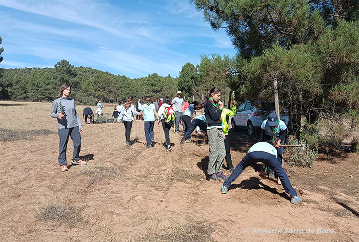 Tercera Jornada de Recuperación de Setos y Lindes Arbóreas y Arbustivas en los campos de cultivo de la Sierra de Baza