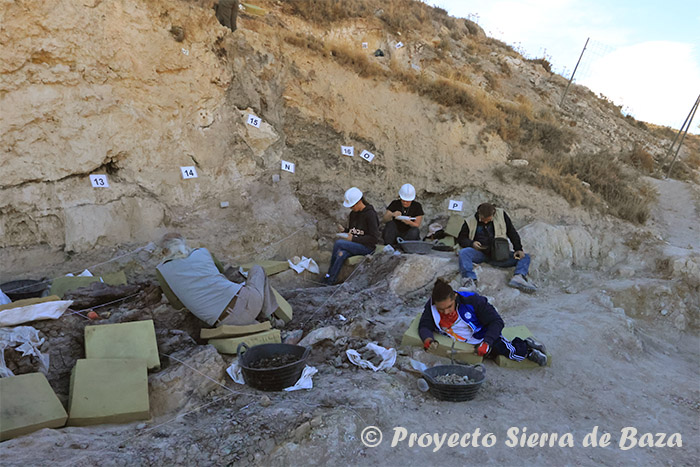 Las excavaciones paleontológicas en el Yacimiento Baza 1 siguen deparando nuevas e interesantes aportaciones