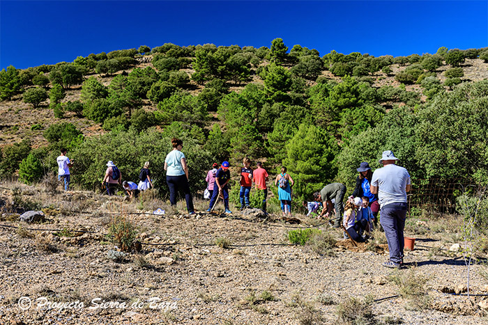 Aprobado el Programa de Actividades de la Asociación Proyecto Sierra de Baza para el año 2026
