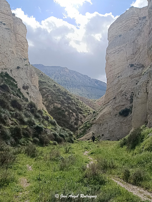 Lugares de interés del entorno del Parque Natural Sierra de Baza: Falla de Baza (Barranco Gallego)
