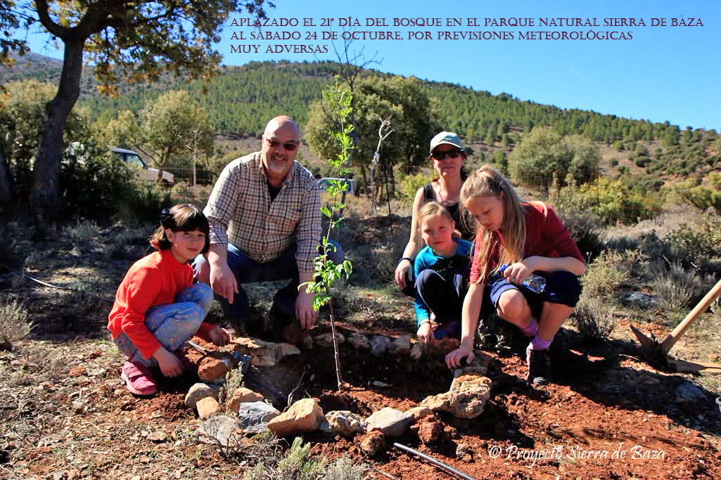 El 18 de octubre, domingo, se va a celebrar el Día del Bosque en el Parque Natural Sierra de Baza