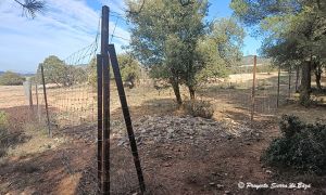 Foto de Los vallados y cierres perimetrales de fincas y cultivos son objeto de una pormenorizada regulación en la nueva normativa.