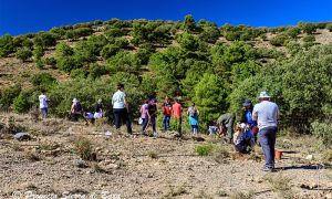 Foto de Participantes en el Día del Bosque en la última edición del año 2025.
