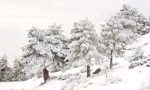 Foto Sierra de Baza con nieve