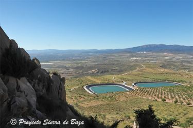 noticias del altiplano