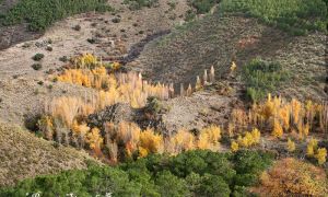Foto Proyecto Sierra de Baza