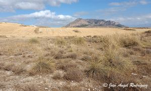 Foto de Paisaje estepario de la Depresión de Baza en el sureste ibérico, con la mole caliza del Jabalcón al fondo.