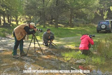 foto de fotógrafos en un safari fotográfico