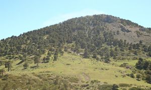 Foto de Panorámica de Calar de La Boleta y entorno de Prados del Rey, en la zona del Pozo de la Nieve, hasta donde asciende esta ruta.
