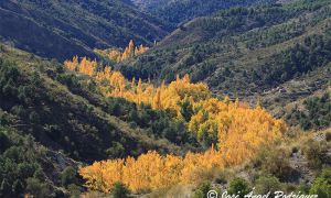 Foto de Paisaje otoñal del Parque Natural Sierra de Baza.