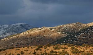 Foto panorámica del encinar adehesado de las Lomas del Quemado, en las proximidades de la aldea de Los Corrales. Sierra de Baza.