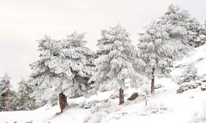 Foto Sierra de Baza con nieve
