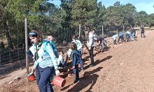 Foto de El grupo participante durante la jornada de recuperación de setos y lindes arbóreas y arbustivas en los antiguos campos de cultivo entregados a su objetivo.