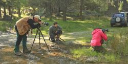 foto de fotógrafos en un safari fotográfico