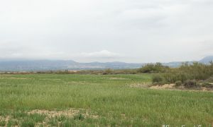 Foto Panorámica de una de las zonas en la que se ha proyectado la macroplanta fotovoltaica de Ququima