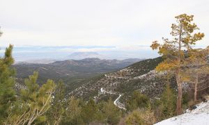 Foto de la pista forestal que subiendo de la zona de la Canaleja Alta lleva hasta los Prados del Rey (2000 m.)
