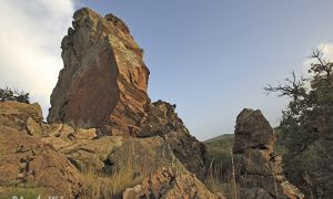 Foto de Afloramiento de rocas silíceas colonizado por la vegetación rupícola conocidos como los “Peñones Robaos”, en las proximidades de la pista forestal de El Moro.
