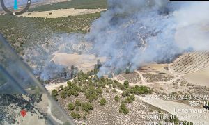 Imagen del incendio facilitada por el Plan Infoca, del paraje de Las Asperillas, donde arrancó el fuego.