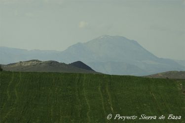 Foto del altiplano granadino.