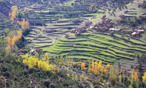 Foto Panorámica de la aldea abandonada de El Tesorero, el manifiesta situación de abandono y progresivo deterioro. 