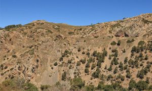 Foto de Hábitat característico de una zona de desprendimientos rocosos en la confluencia del Collado de la Boleta con el Barranco de la Fonfría en la Sierra de Baza