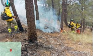 Foto de Bomberos forestales, durante la extinción del fuego en Baza, en una imagen tomada a las 12:38 horas del pasado 7 de julio.