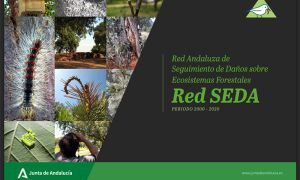 Foto de la portada Red SEDA