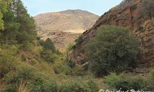 Foto Panorámica de la Cerrada de Los Portillos, con la Cueva Saldaña y el Cerro Quintana al fondo.